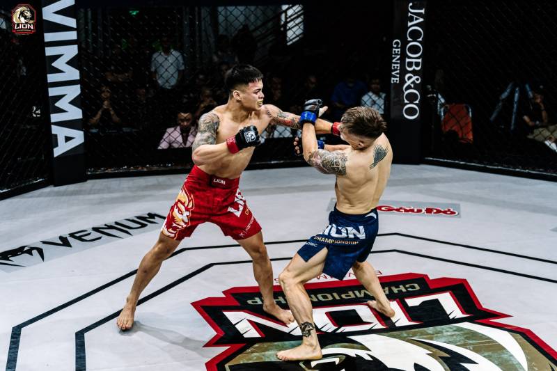 Cá cược MMA là gì?